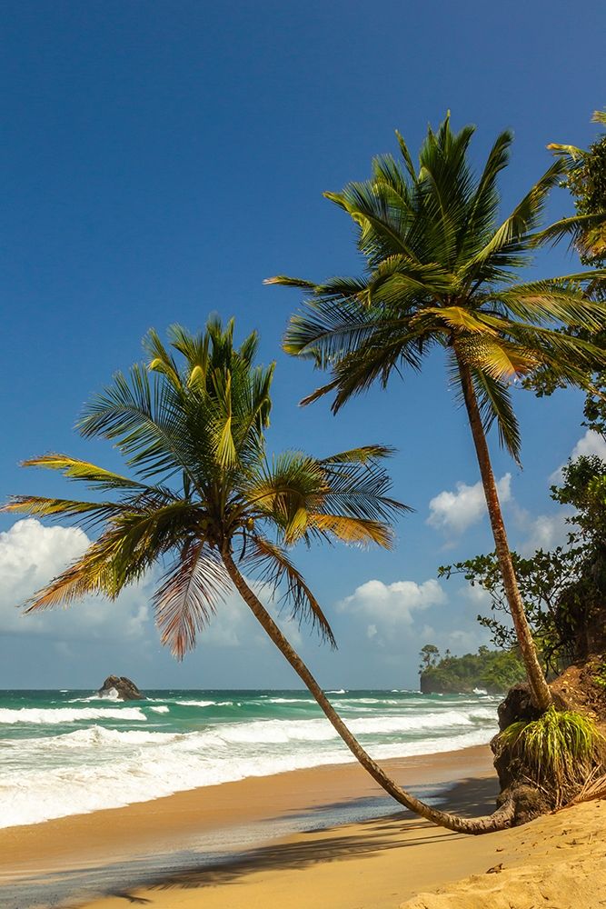 Caribbean-Trinidad-Blanchisseuse Bay Beach and ocean landscape art print by Jaynes Gallery for $57.95 CAD