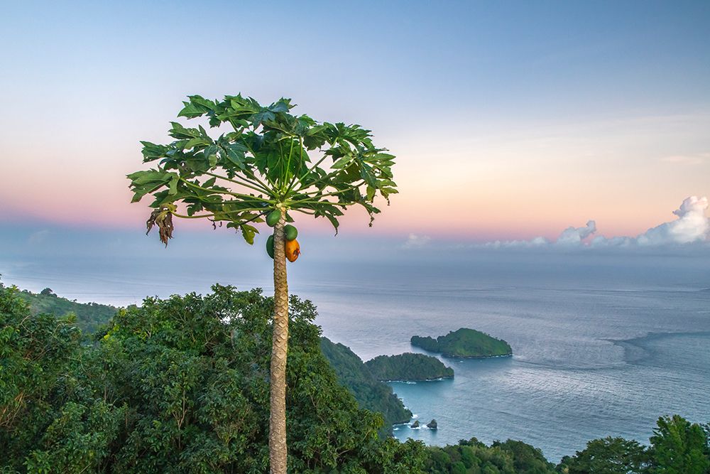 Trinidad. Coast and ocean at sunrise. art print by Jaynes Gallery for $57.95 CAD
