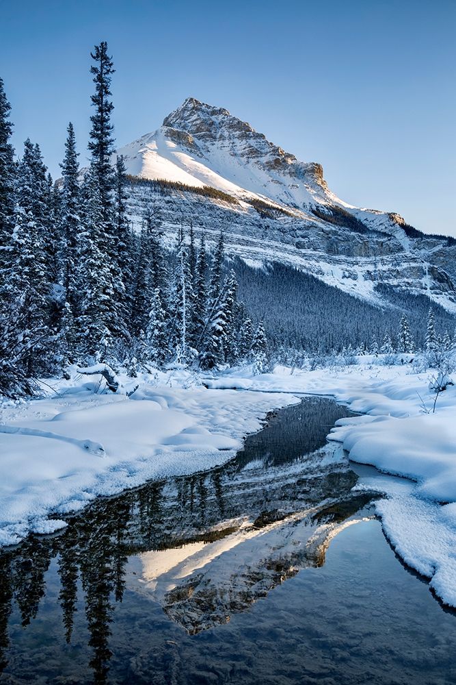 Canada-Alberta-Jasper National Park-Tangle Peak reflected in Beauty Creek art print by Ann Collins for $57.95 CAD