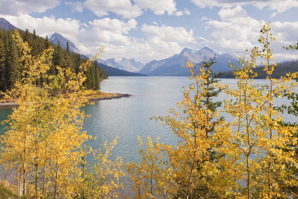 Canada, Jasper NP Maligne Lake and mountains art print by Don Paulson for $57.95 CAD