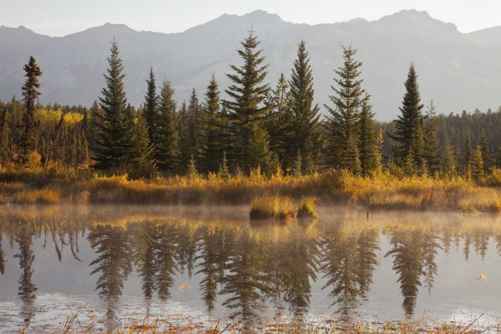 Canada, Alberta, Jasper NP Cottonwood Slough art print by Don Paulson for $57.95 CAD