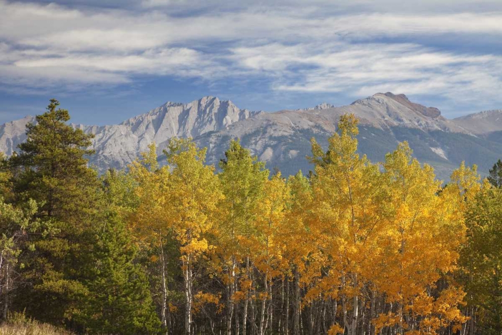 Canada, Alberta, Jasper NP Autumn landscape art print by Don Paulson for $57.95 CAD