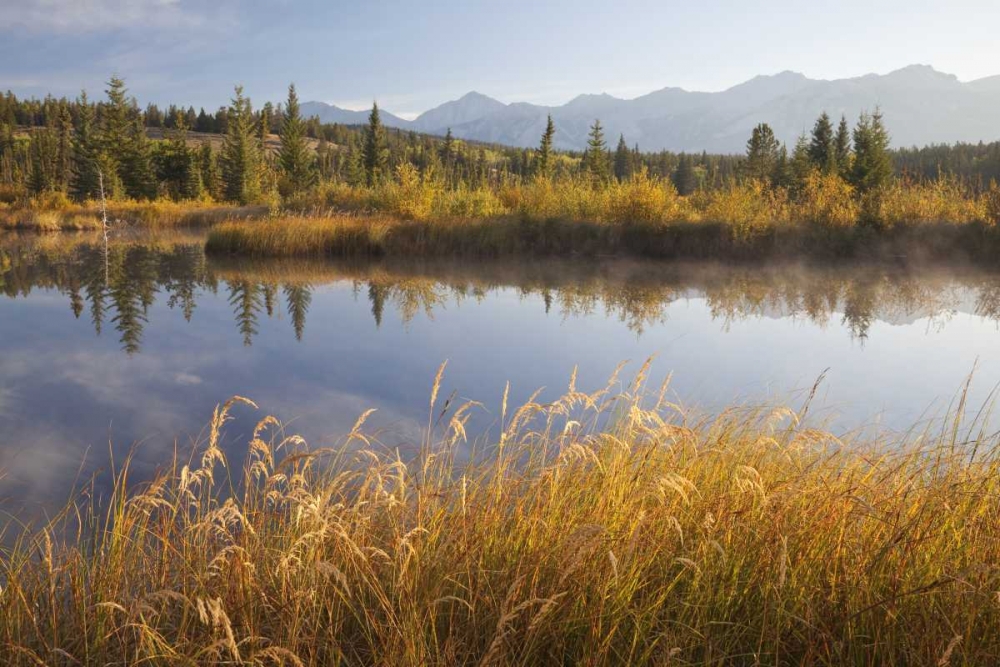 Canada, Alberta, Jasper NP Cottonwood Slough art print by Don Paulson for $57.95 CAD