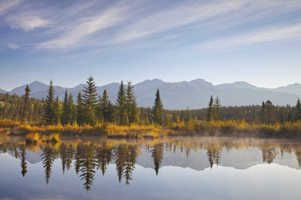 Canada, Alberta, Jasper NP Cottonwood Slough art print by Don Paulson for $57.95 CAD