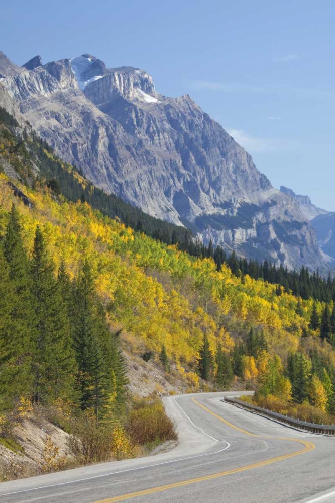 Canada, Alberta, Jasper NP The Icefields Parkway art print by Don Paulson for $57.95 CAD