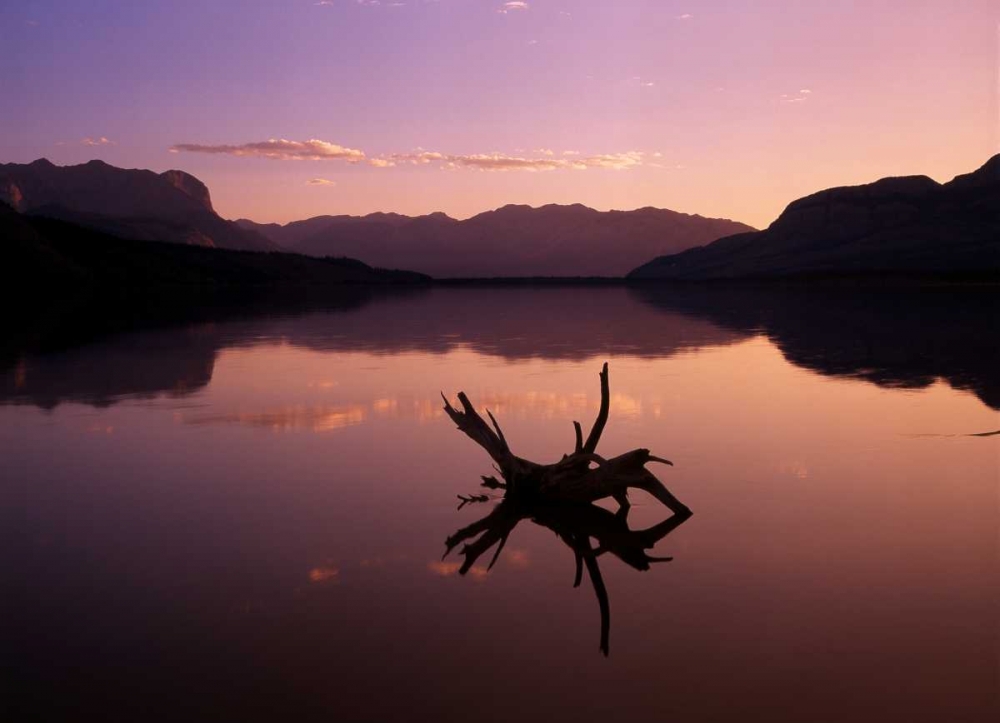 Canada, Alberta, Jasper Lake in Jasper NP art print by Mike Grandmaison for $57.95 CAD