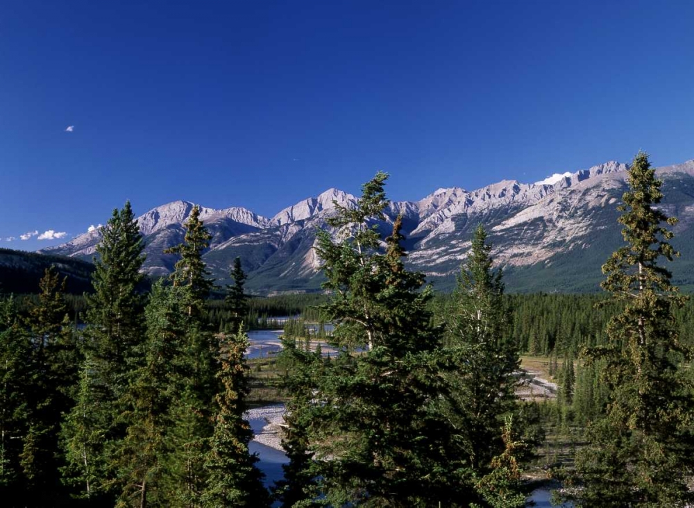 Canada, Alberta, Jasper NP art print by Mike Grandmaison for $57.95 CAD