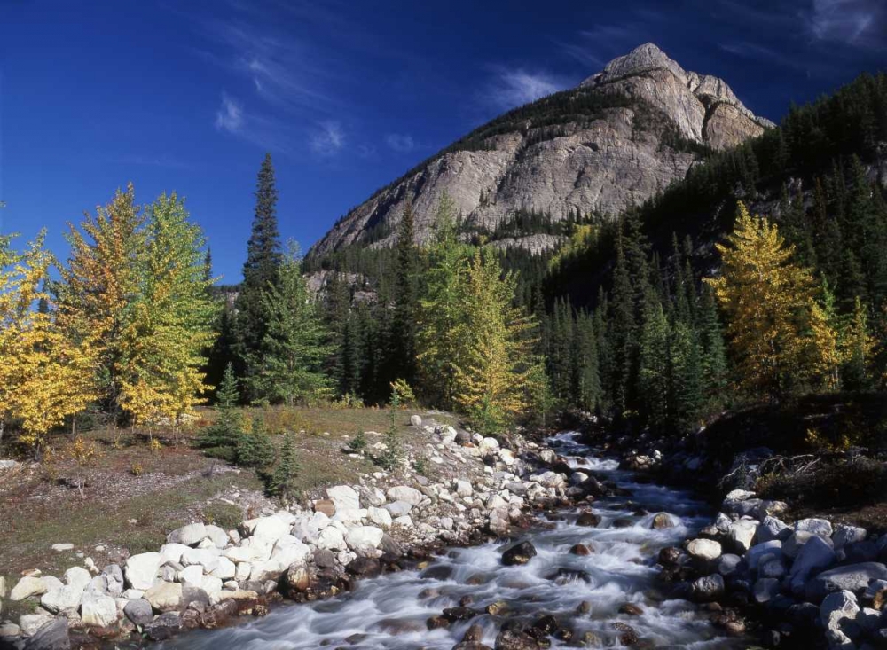 Canada, Alberta, Rampart Creek at Banff NP art print by Mike Grandmaison for $57.95 CAD