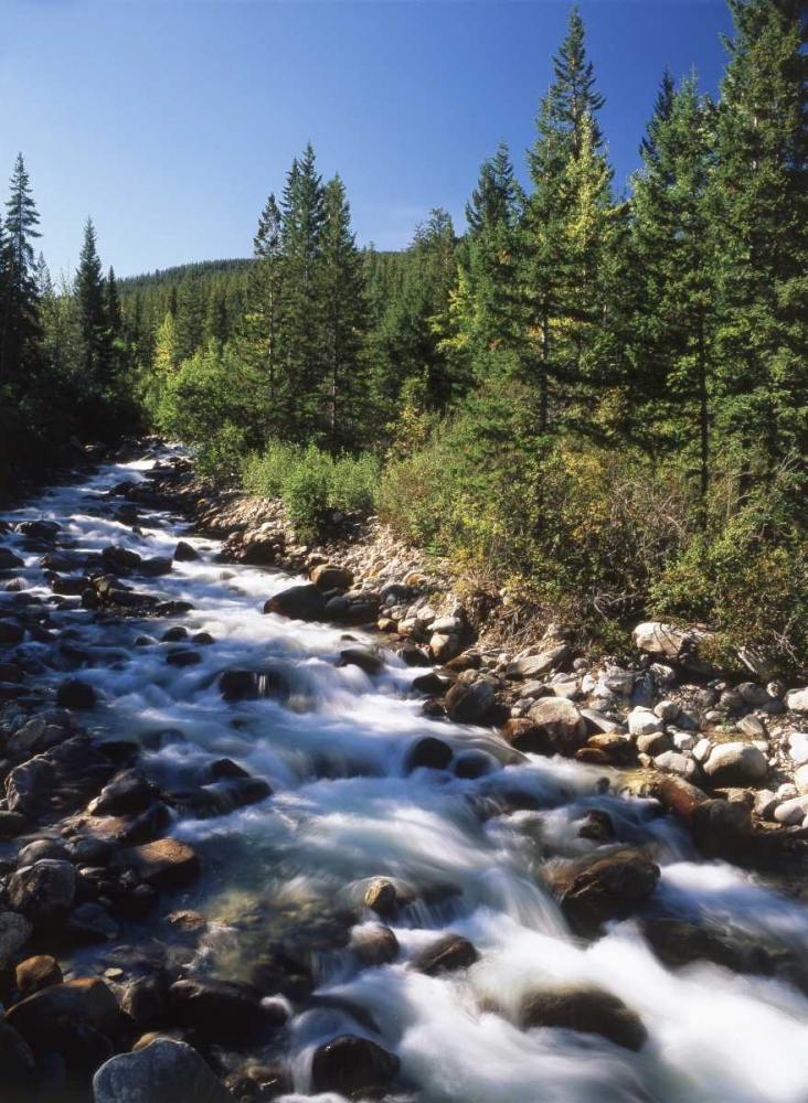 Canada, Alberta, mountain stream in Jasper NP art print by Mike Grandmaison for $57.95 CAD