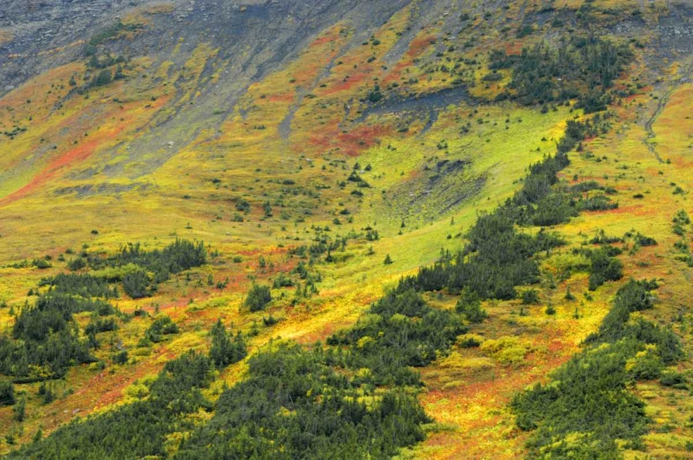 Canada, Alberta Autumn in the Canadian Rocky Mts art print by Mike Grandmaison for $57.95 CAD