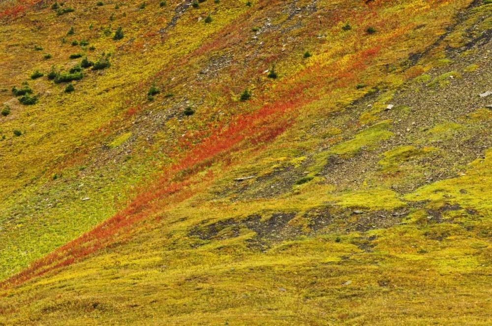 Canada, Alberta Autumn in the Canadian Rocky Mts art print by Mike Grandmaison for $57.95 CAD
