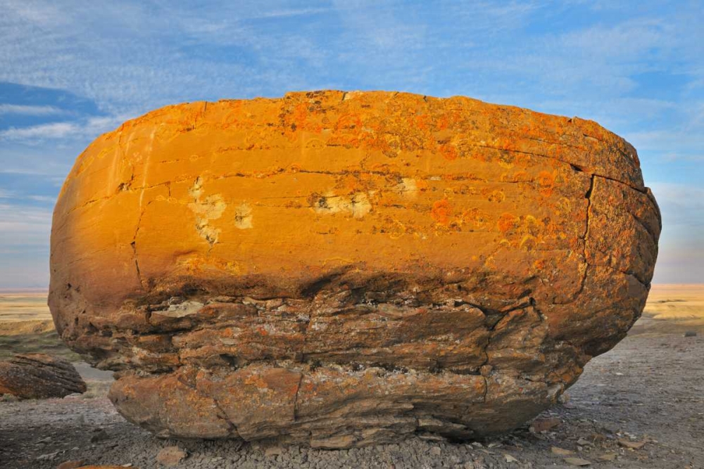 Canada, Red Rock Coulee Sandstone concretion art print by Mike Grandmaison for $57.95 CAD
