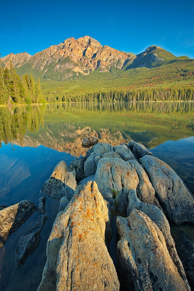 Canada-Alberta-Jasper National Park Pyramid Mountain and reflections on Pyramid Lake art print by Jaynes Gallery for $57.95 CAD