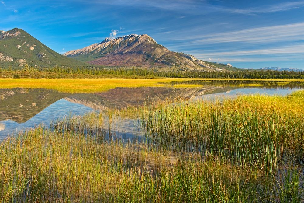 Canada-Alberta-Jasper National Park Reflections in Jasper Lake art print by Jaynes Gallery for $57.95 CAD