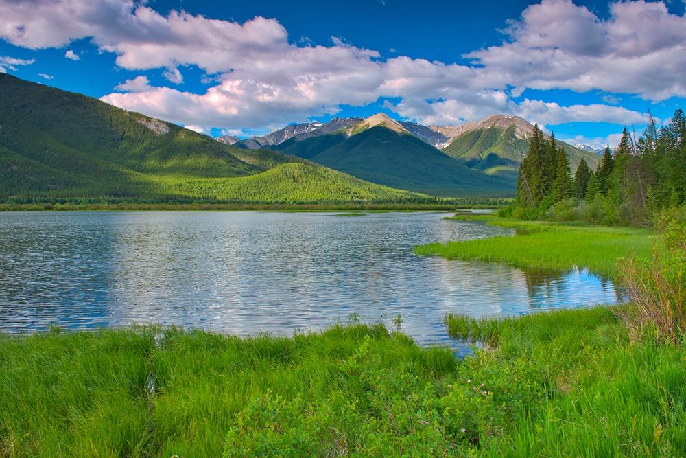 Alberta Art prints and posters