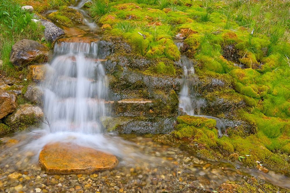 Canada-Alberta-Banff National Park Creek and waterfall scenic art print by Jaynes Gallery for $57.95 CAD