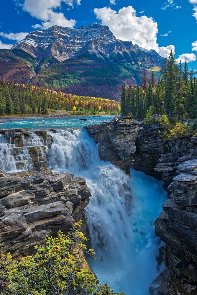 Canada-Alberta-Jasper National Park Athabasca River at Athabasca Falls art print by Jaynes Gallery for $57.95 CAD
