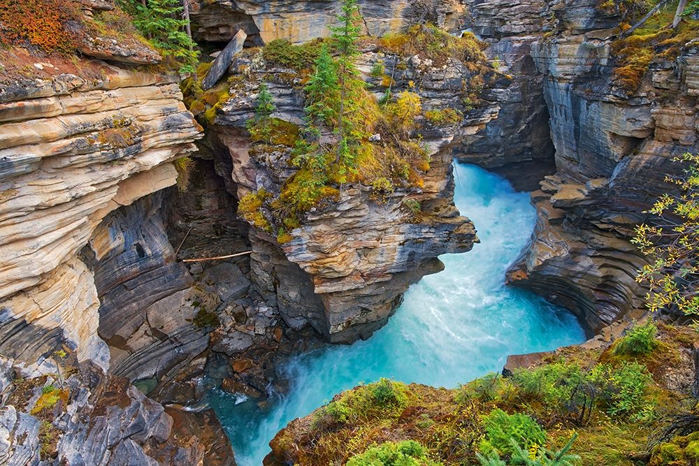 Canada-Alberta-Jasper National Park Athabasca River at Athabasca Falls art print by Jaynes Gallery for $57.95 CAD