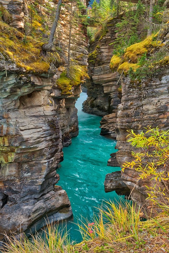 Canada-Alberta-Jasper National Park Athabasca River at Athabasca Falls art print by Jaynes Gallery for $57.95 CAD