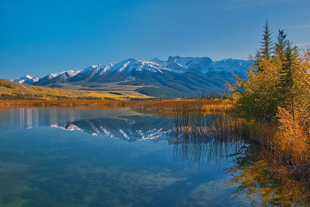 Canada-Alberta-Jasper National Park Reflections in Talbot Lake art print by Jaynes Gallery for $57.95 CAD