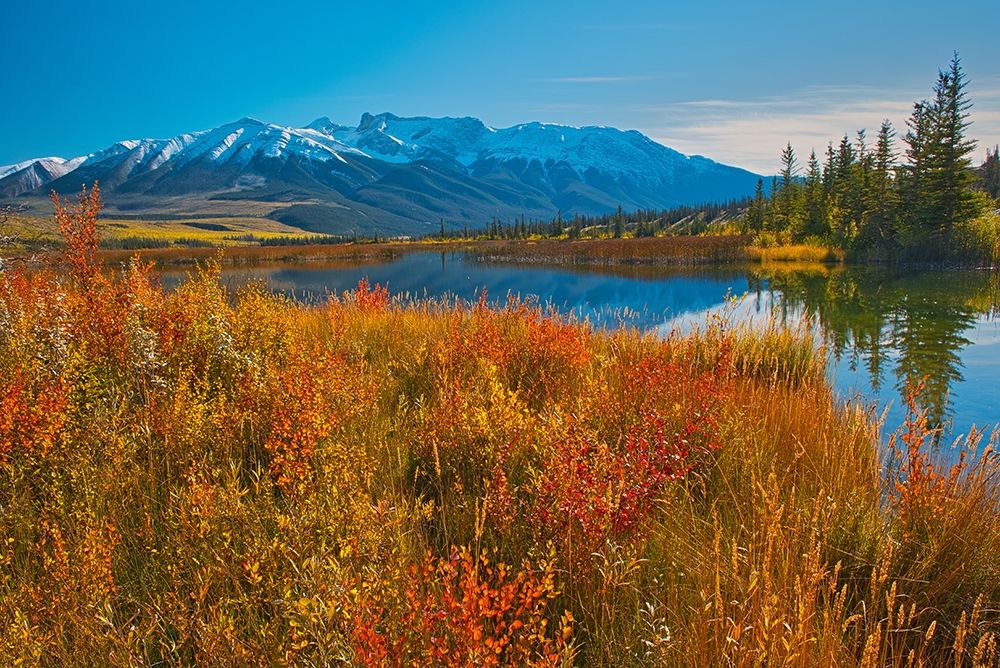 Canada-Alberta-Jasper National Park Reflections in Talbot Lake art print by Jaynes Gallery for $57.95 CAD