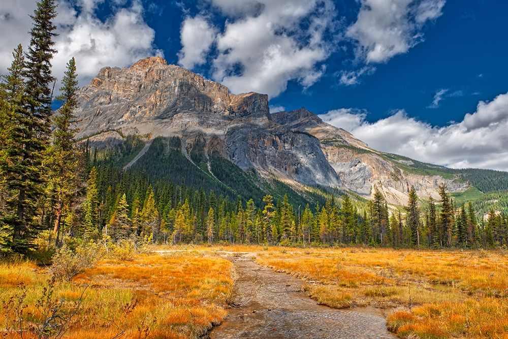 Canada-Alberta-Yoho National Park The President Range mountain and water landscape art print by Jaynes Gallery for $57.95 CAD