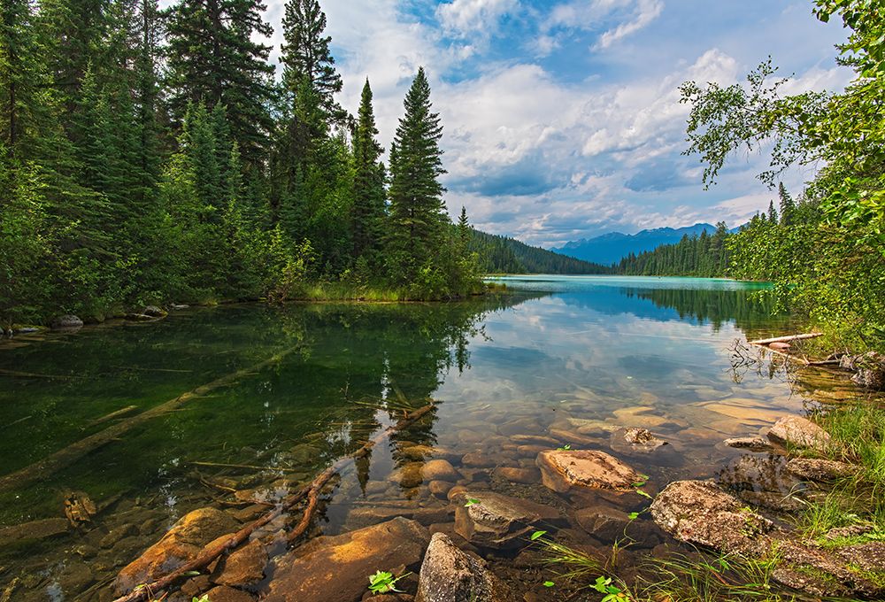 Canada- Alberta- Jasper National Park. Mountain landscape with lake and forest. art print by Jaynes Gallery for $57.95 CAD