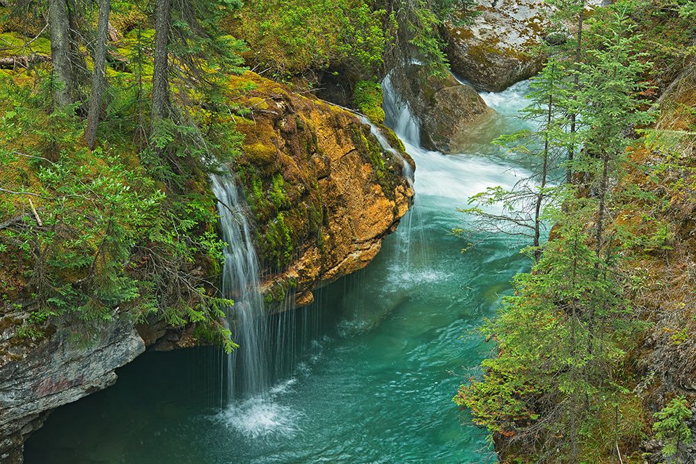 Canada- Alberta- Jasper National Park. Overview of Maligne River flowing through Maligne Canyon. art print by Jaynes Gallery for $57.95 CAD