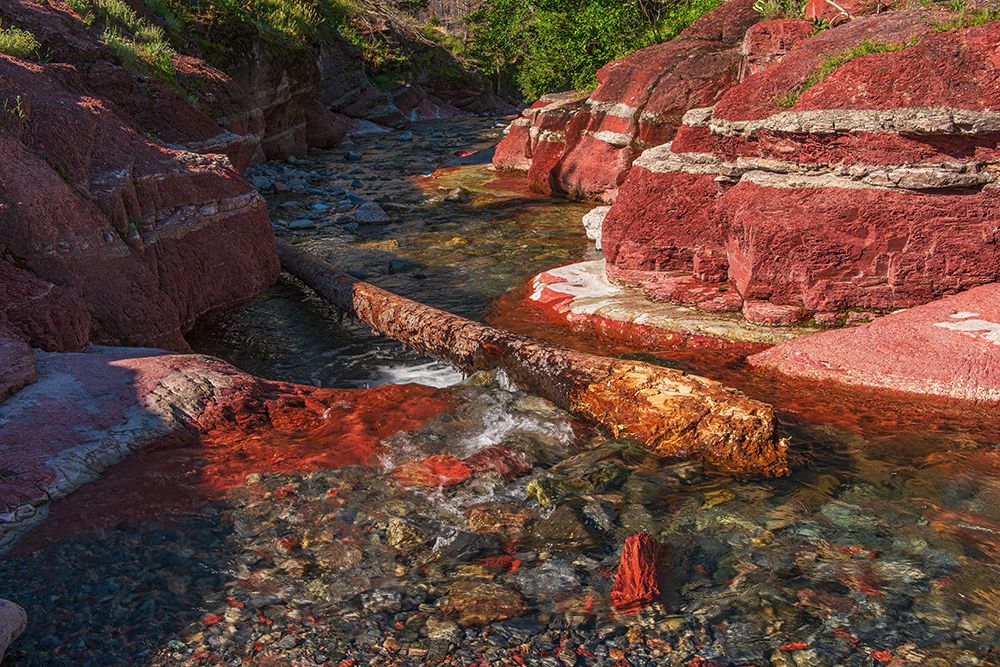 Canada-Alberta-Waterton Lakes National Park Red Rock Creek in Red Rock Canyon art print by Jaynes Gallery for $57.95 CAD