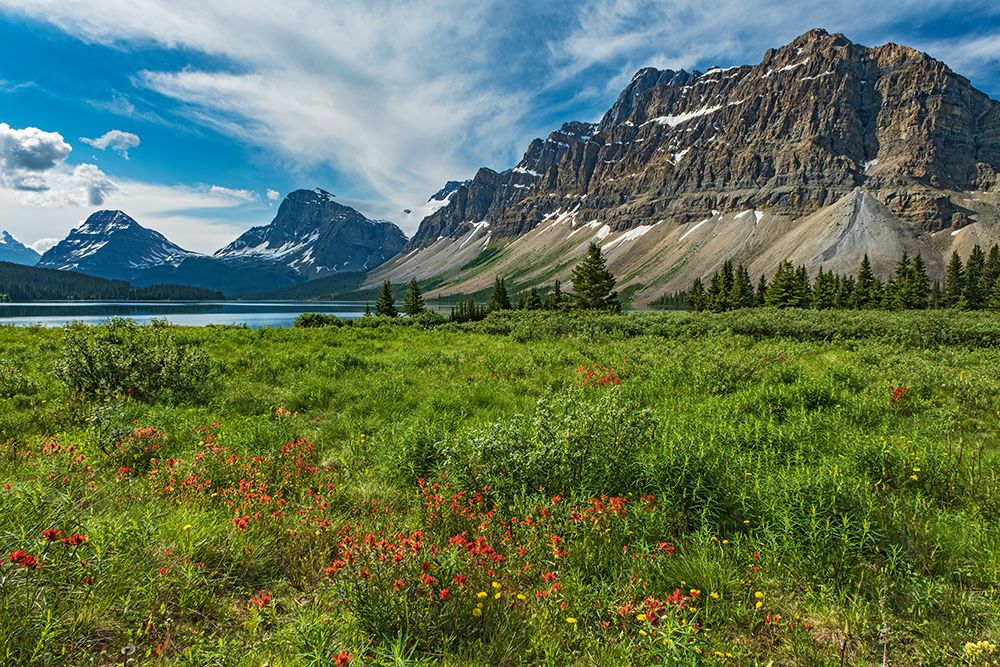 Canada-Alberta-Banff National Park Landscape with mountains and meadow next to Bow Lake art print by Jaynes Gallery for $57.95 CAD