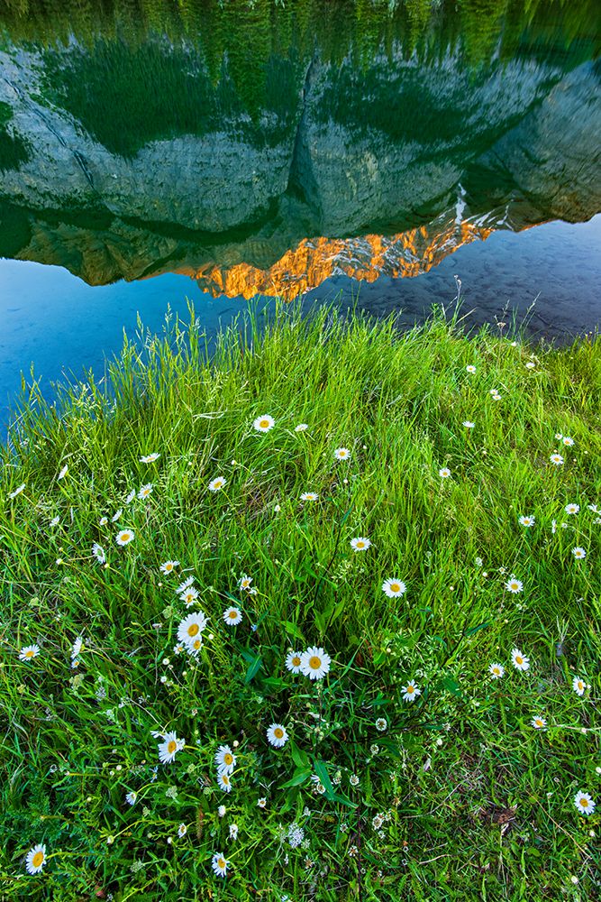 Canada-Alberta-Banff National Park Peak of Cascade Mountain reflected in Cascade Pond art print by Jaynes Gallery for $57.95 CAD