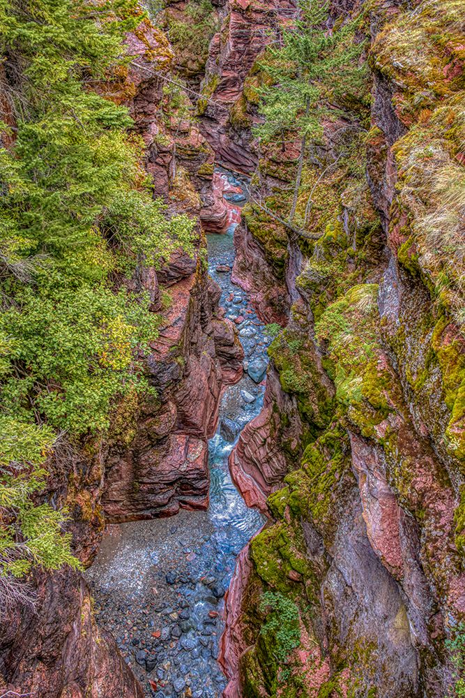 Canada, Alberta, Waterton Lakes National Park. Stream flowing through Red Rock Canyon. art print by Jaynes Gallery for $57.95 CAD