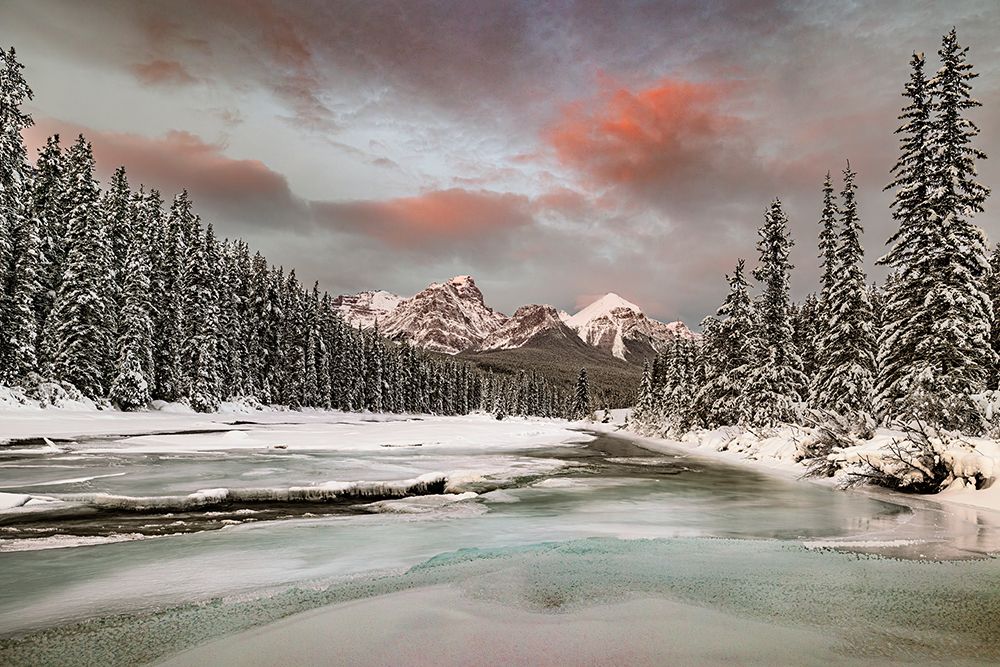 Bow River at Morants Curve, Canada art print by John Ford for $57.95 CAD