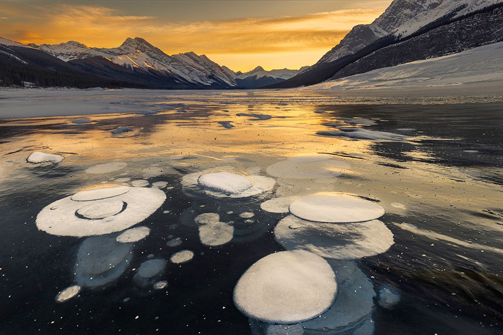 Bubbles, Spray Lake, Canadian Rockies art print by John Ford for $57.95 CAD
