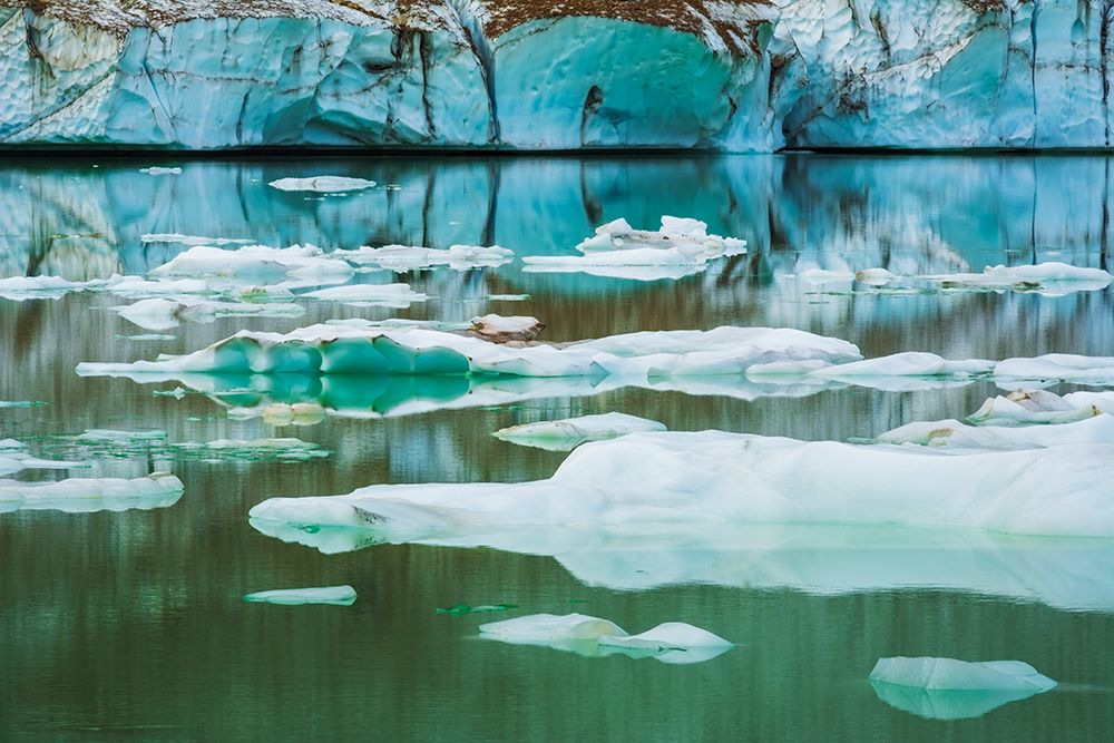 Icebergs on glacial meltwater under Mount Edith Cavell-Jasper National Park-Alberta-Canada art print by Russ Bishop for $57.95 CAD