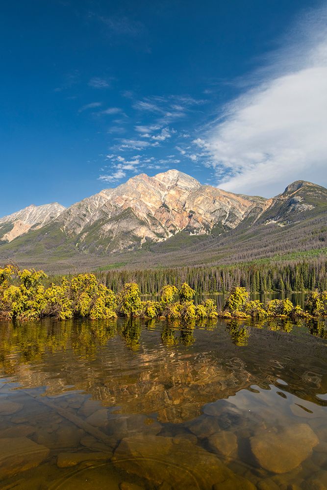 Pyramid Mountain and Pyramid Lake, Jasper National Park. Alberta, Canada art print by Roddy Scheer for $57.95 CAD