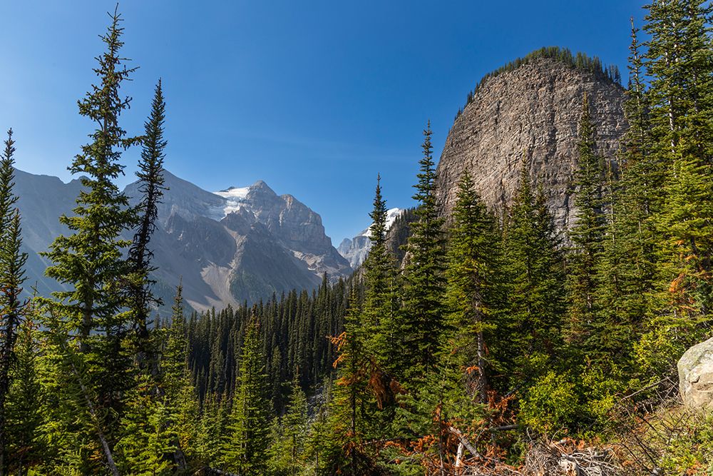 Banff National Park, Alberta, Canada art print by Roddy Scheer for $57.95 CAD