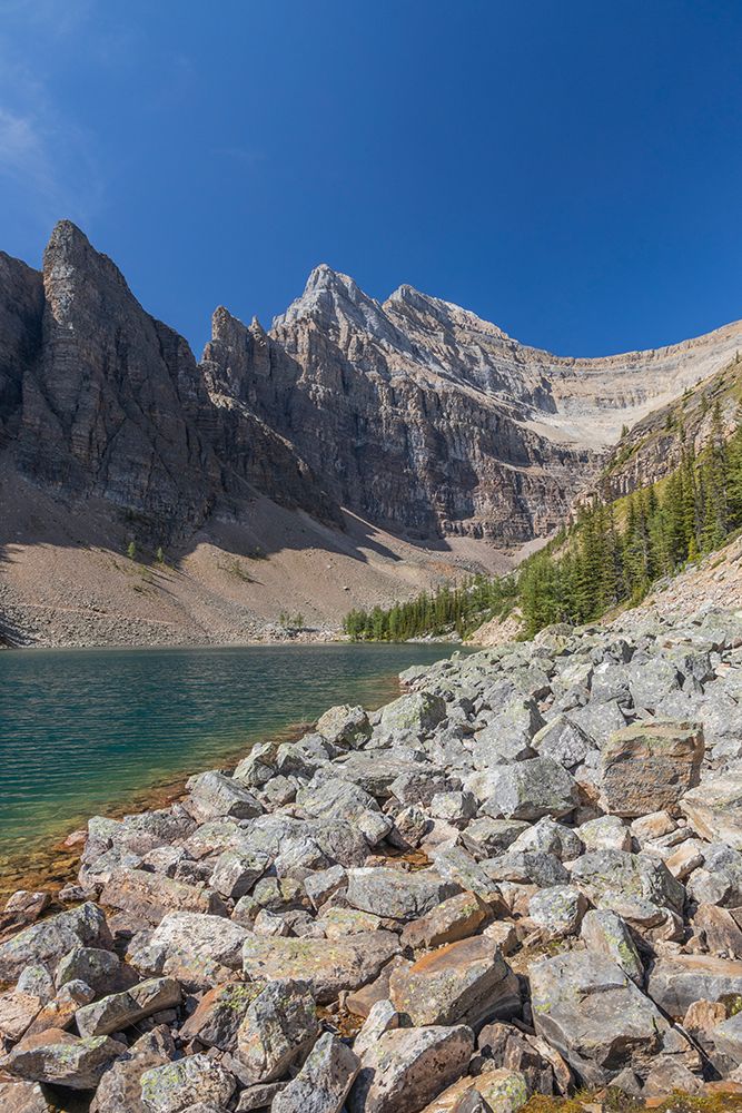 Lake Agnes, Banff National Park, Alberta, Canada art print by Roddy Scheer for $57.95 CAD