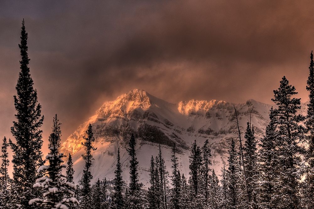Canadian Rockies-Alberta-Canada art print by Steve Mohlenkamp for $57.95 CAD