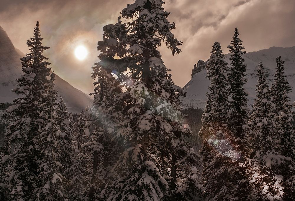 Jasper National Park in Alberta Canada wakes to another winter sunrise art print by Steve Mohlenkamp for $57.95 CAD