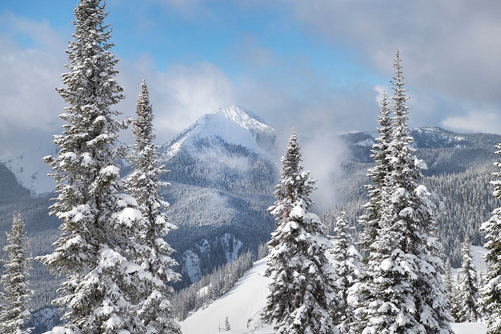 North Cascades in fresh winter snow Manning Provincial Park-British Columbia art print by Alan Majchrowicz for $57.95 CAD