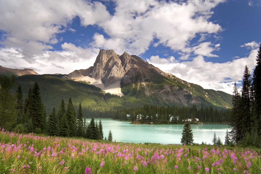 Canada, BC, Yoho NP View of Emerald Lake art print by Don Paulson for $57.95 CAD