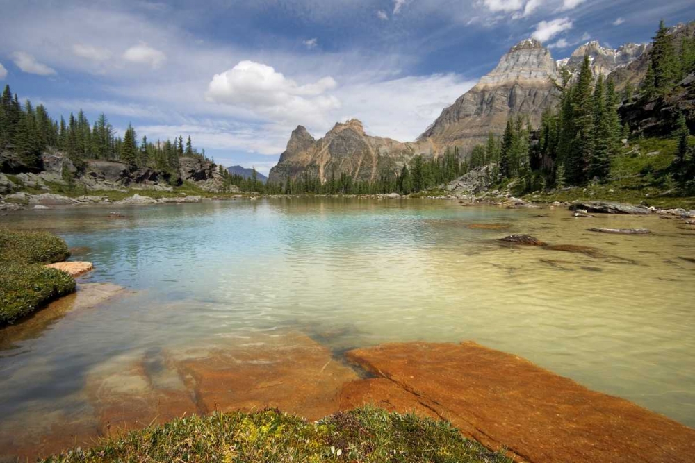 Canada, BC, Yoho NP Opabin Terrace Pools art print by Don Paulson for $57.95 CAD