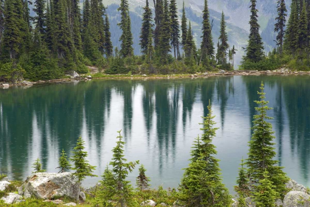 Canada, BC, Revelstoke NP Rain dots Lake Eva art print by Don Paulson for $57.95 CAD