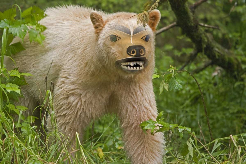 Canada, BC, Princess Royal Is Spirit bear mask art print by Don Paulson for $57.95 CAD