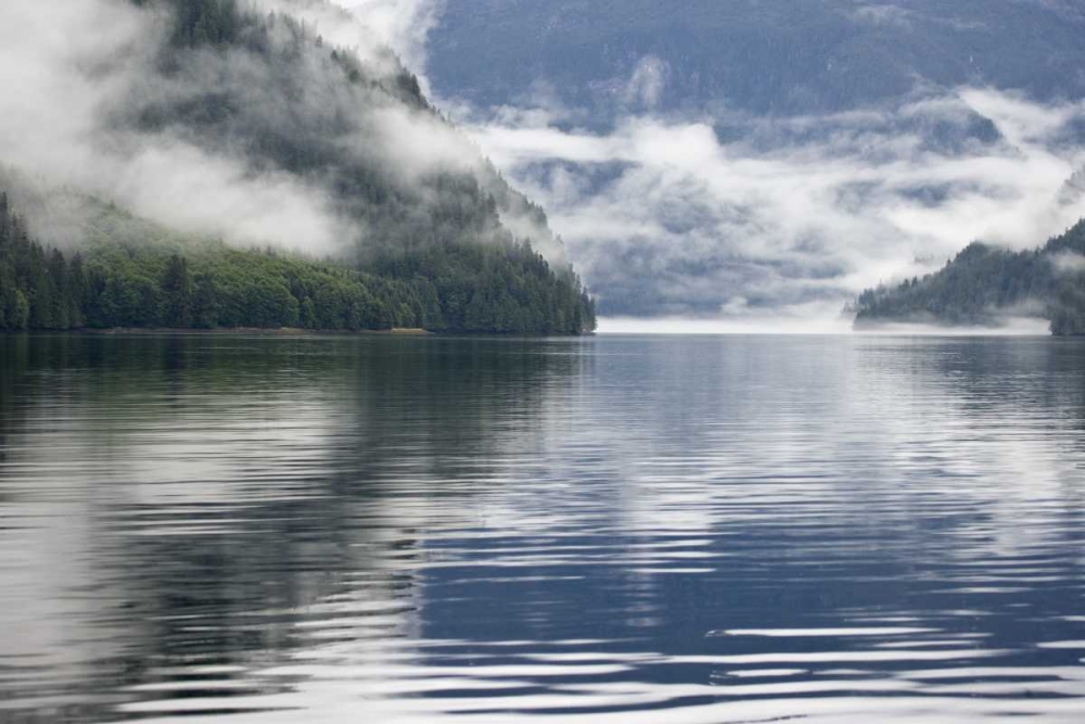 Canada, BC, Fog-shrouded forest by ocean inlet art print by Don Paulson for $57.95 CAD