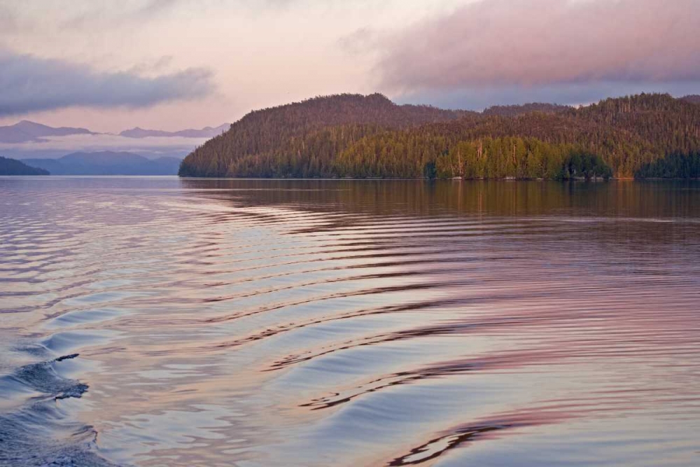 Canada, BC, Calvert Island Boat wake in water art print by Don Paulson for $57.95 CAD