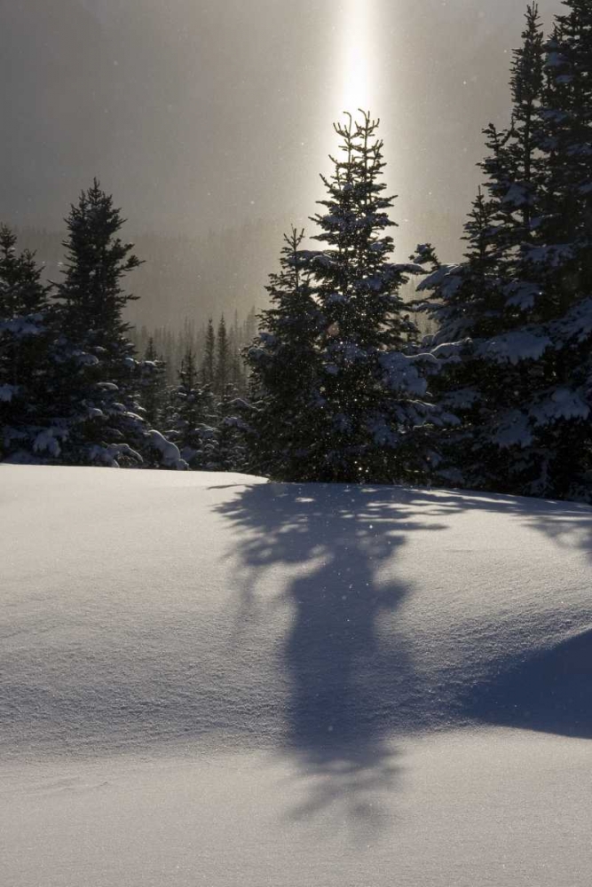 Canada, BC, Smithers Winter snow landscape art print by Bill Young for $57.95 CAD