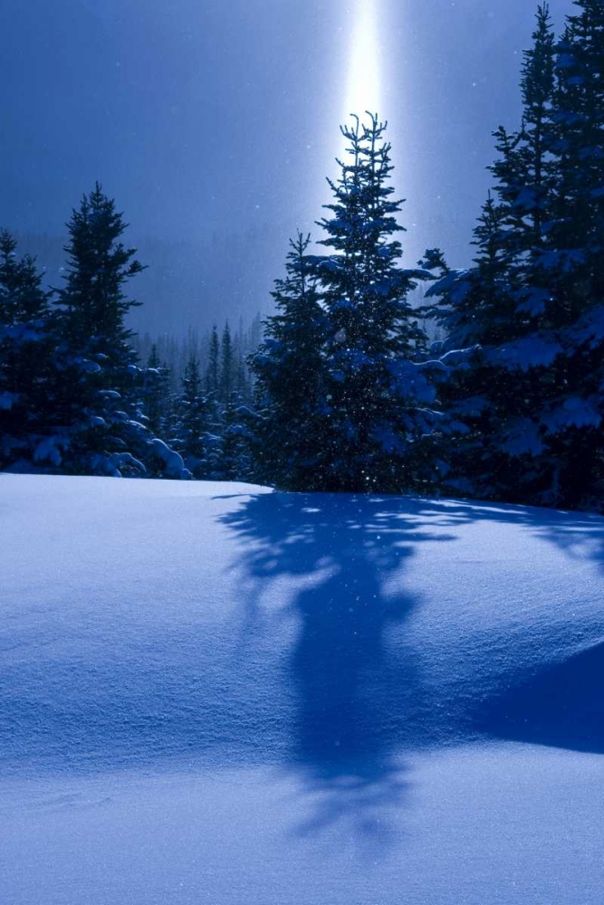 Canada, BC, Smithers Winter snow landscape art print by Bill Young for $57.95 CAD