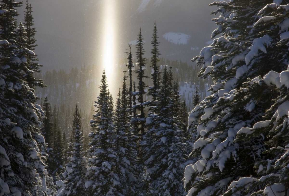 Canada, BC, Smithers Winter snow landscape art print by Bill Young for $57.95 CAD